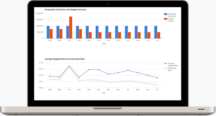 Fx And Treasury Management Software Hedgebook - 